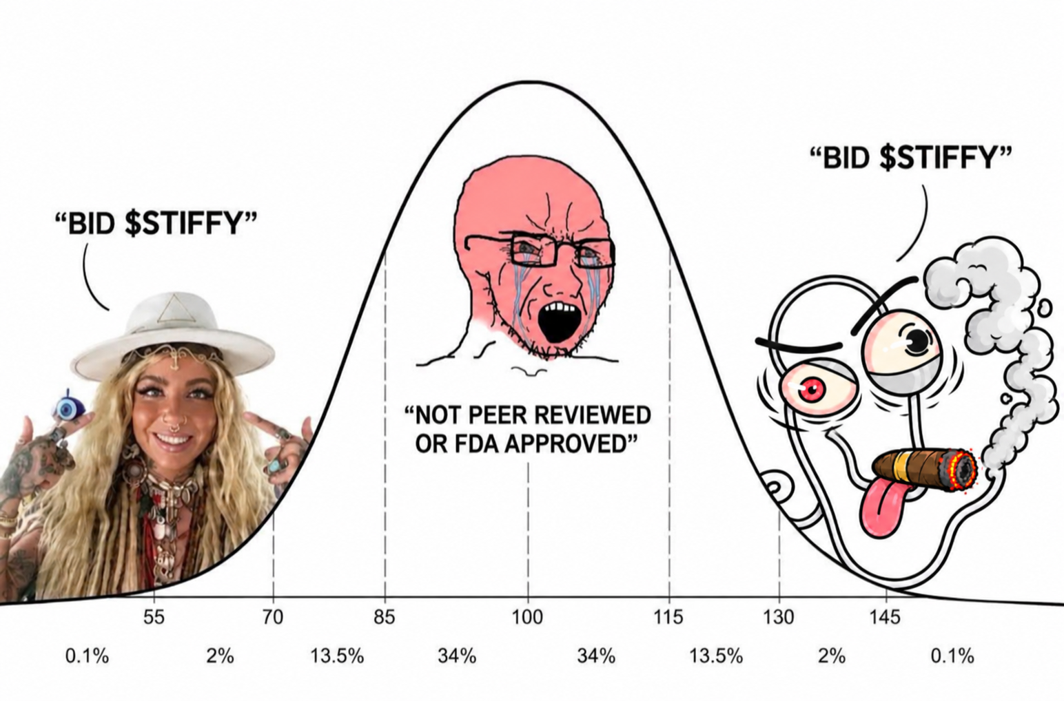 Bell curve Bid Stiffy meme